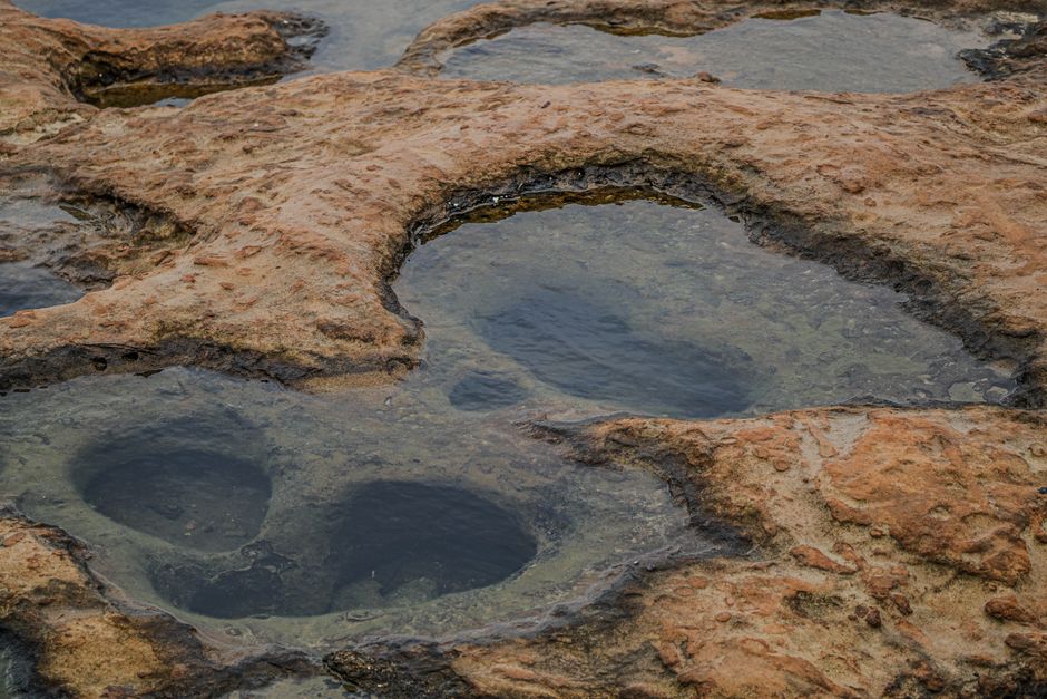 A Beginner's Guide to Tide Pooling on Rocky Shores