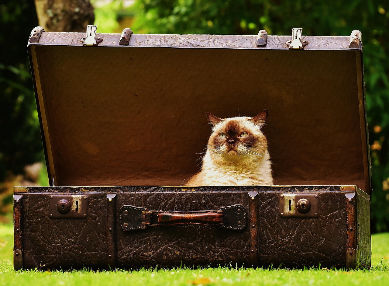 Packing for a Week at the Shore Without Overpacking